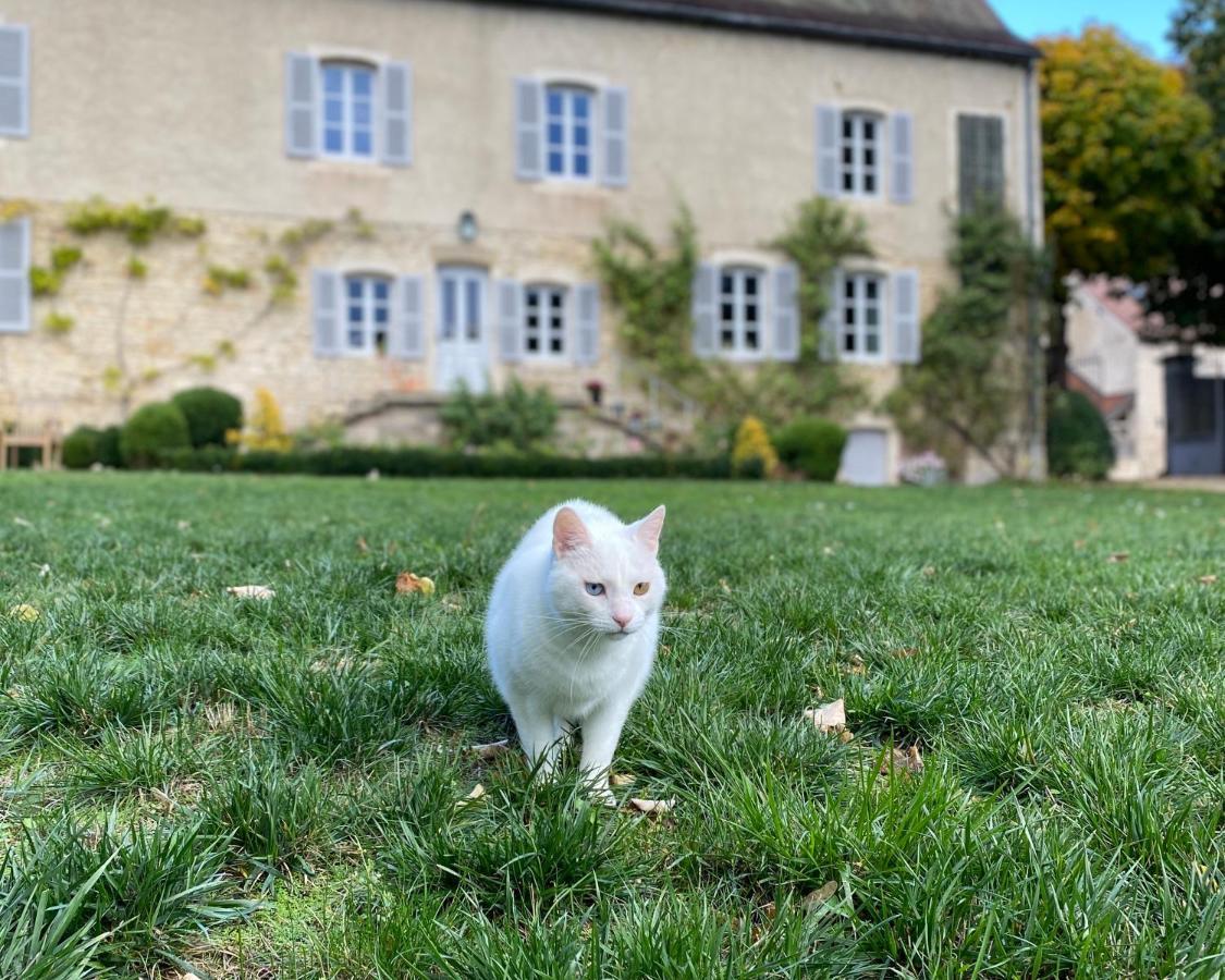 Bed and Breakfast La Saura Lusigny-sur-Ouche Exterior foto